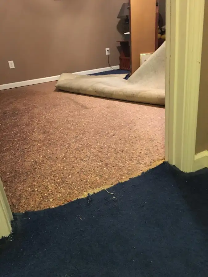 Carpet pad removal revealing water damage during Drying & Dehumidification in Bartlett